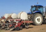 Baie goeie kondisie. Het in 2025 mielies geplant, niks fout nie. Staak boerdery