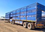 Skaap bees link met stainless vloere en kante virgin tyers met aluminum rims kort bietjie aandag