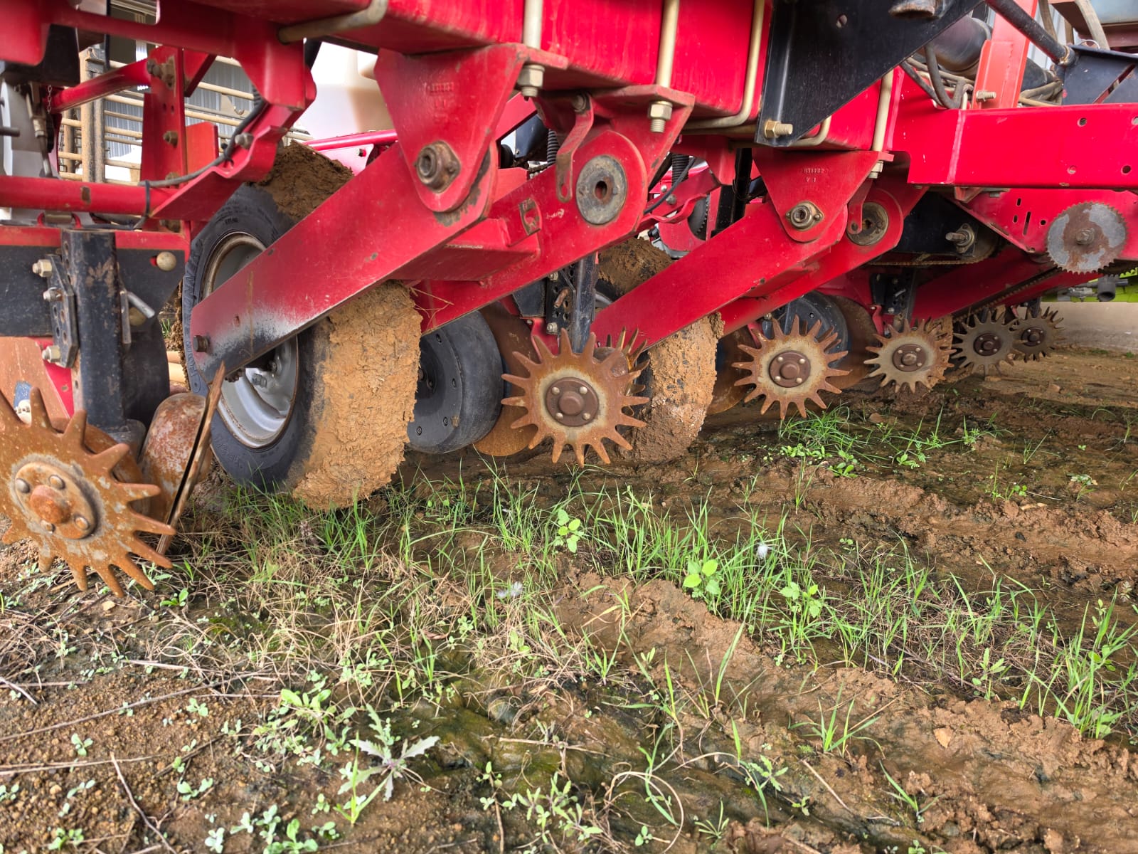 Massey Furgeson 555