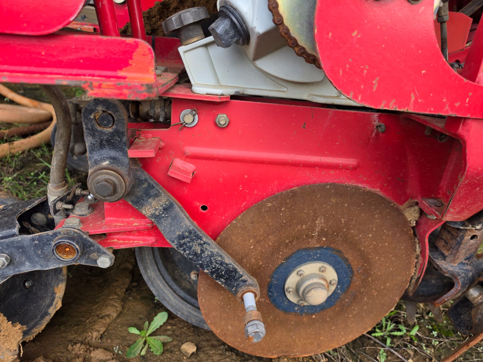 Massey Furgeson 555