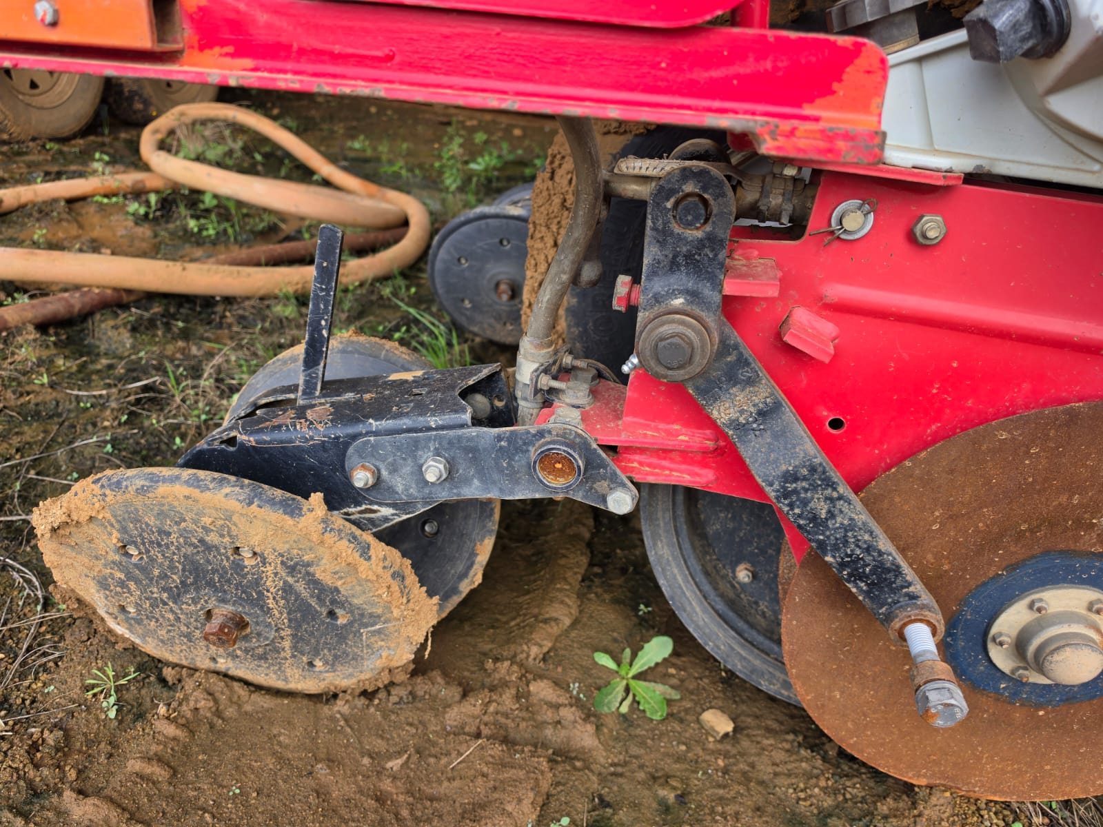 Massey Furgeson 555