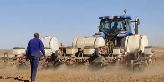 Baie goeie kondisie. Het in 2025 mielies geplant, niks fout nie. Staak boerdery