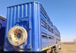 Skaap bees link met stainless vloere en kante virgin tyers met aluminum rims kort bietjie aandag