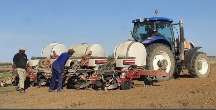 Baie goeie kondisie. Het in 2025 mielies geplant, niks fout nie. Staak boerdery