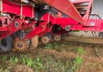 Massey Furgeson 555