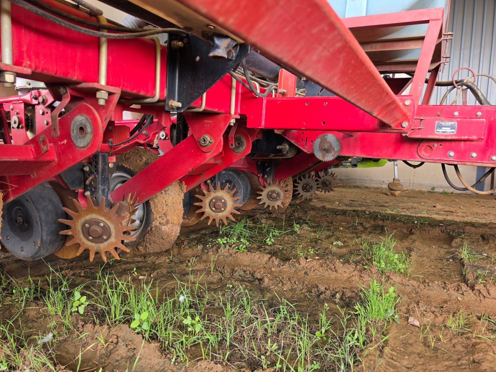 Massey Furgeson 555