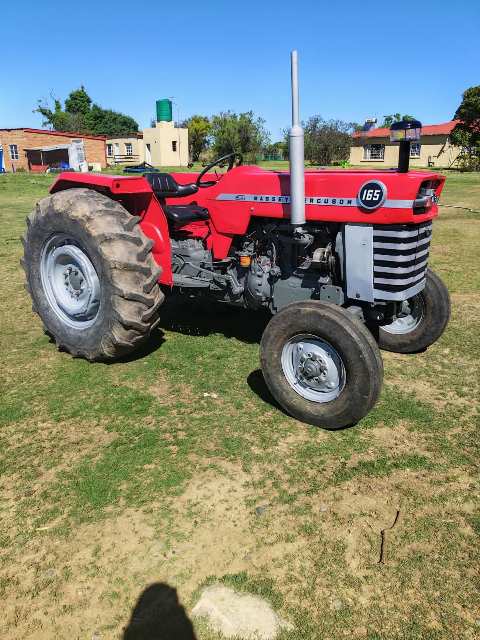 Massey Ferguson 165